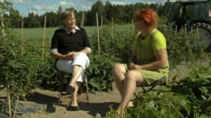 Puutarhaunelmia: 25.08.2016 20.00
