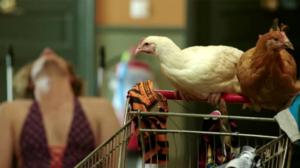 Kerrostaloelämää (S): 28.09.2016 16.15