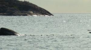 Kosteikoilta ulkoluodoille: 03.08.2016 20.24