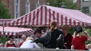 Lintumiehet: 29.07.2016 07.00