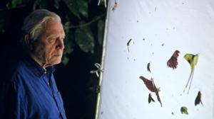 Prisma: Taivaan valloitus: 01.06.2016 19.00