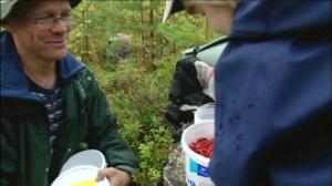 Nyt mennään!: Metsäretki: 16.09.2016 18.00