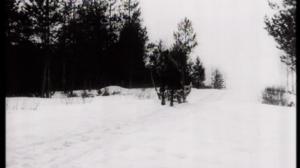 Kasva terveeksi: 01.11.2016 14.40