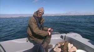 Andersin kanssa kalassa: 21.07.2016 18.30