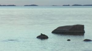 Kosteikoilta ulkoluodoille: 01.08.2016 20.23