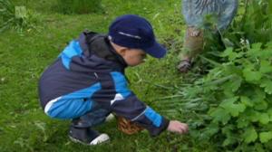 Puutarhan tonttu: 23.06.2016 07.03