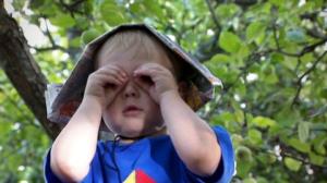 Puutarhan tonttu: 04.08.2016 07.03