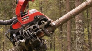 MOT: Vihreä kulta vaarassa: 12.09.2016 20.00