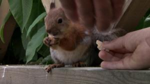 Lintumiehet: 05.08.2016 07.00