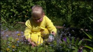 Puutarhan tonttu: 07.07.2016 07.02