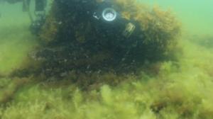 Itämeri pintaa syvemmältä: 20.07.2016 20.23