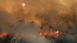 Avara luonto: Kesytön Brasilia: 28.05.2016 18.45