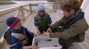 Andersin kanssa kalassa: 17.06.2016 16.26