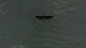 Lohikäärmeratsastajat (7): 21.05.2016 09.36