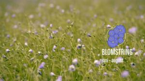 Laatua lyhyesti: 21.07.2016 21.57