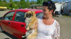 Palokunta pelasti työmaakopin alle juuttuneen Manun (S): 03.06.2016 09.51