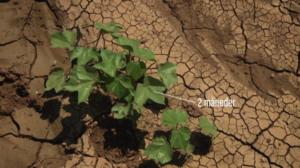 Laatua lyhyesti: 14.07.2016 20.26