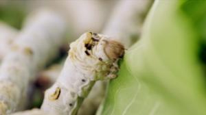 Laatua lyhyesti: 28.07.2016 21.55