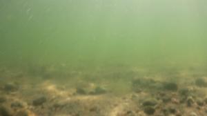 Itämeri pintaa syvemmältä: 22.07.2016 20.25