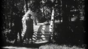 Vuosirenkaita: 03.11.2016 14.48