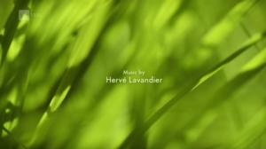 Ruohonjuuritasolla (S): 17.05.2016 18.54