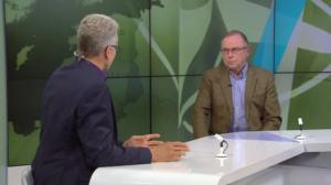 Päivän kasvo: 08.07.2016 18.20