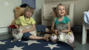 Ystäväkirja: 02.12.2016 07.19