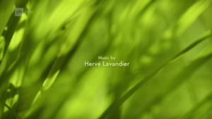 Ruohonjuuritasolla (S): 30.08.2016 18.51