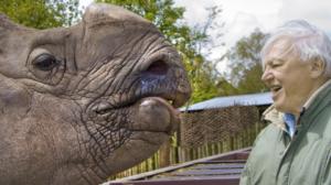 Luontohetki: Attenborough'n erikoiset: 18.06.2016 09.35