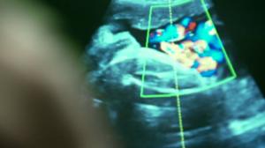 MOT: Tappavia kemikaaleja - sallittu!: 21.11.2016 20.00