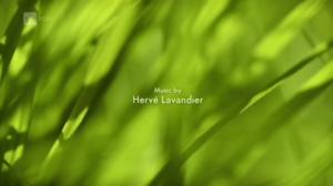 Ruohonjuuritasolla (S): 28.06.2016 18.52