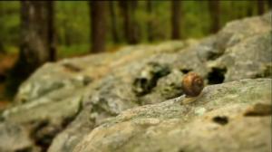 Ruohonjuuritasolla (S): 11.10.2016 18.51