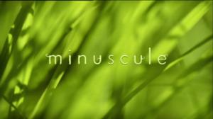 Ruohonjuuritasolla (S): 26.07.2016 18.53