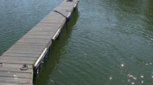 BUU-klubben: Bärtil: 23.06.2016 18.00