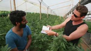 VICE: Kings of Cannabis (12): 27.05.2016 15.00