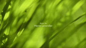 Ruohonjuuritasolla (S): 31.05.2016 18.53