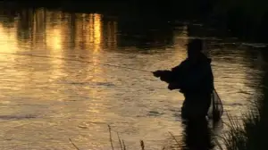 Erätulilla - kalavesillä: 05.07.2016 08.08