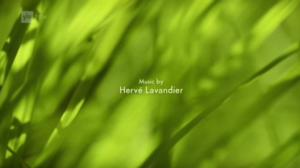 Ruohonjuuritasolla (S): 13.09.2016 18.51