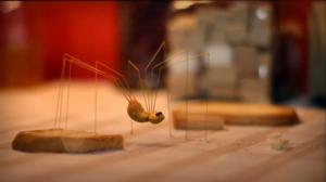 Ruohonjuuritasolla (S): 20.09.2016 18.51