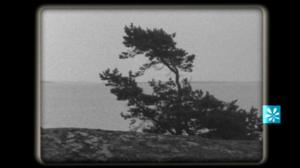 Elävä arkisto: Viikon valinnat: Viikon valinnat: Saaristolaiselämää: 26.05.2016 20.16