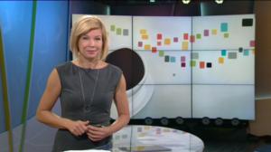 Ylen aamu-tv: Liputuspäivä EU:n puolesta (S): 28.07.2016 09.40