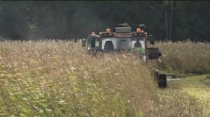 Luonto lähellä: 12.09.2016 09.21