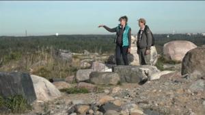 Luonto lähellä: Vuosaaren maisemoitu täyttömäki: 26.09.2016 08.52