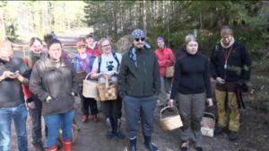 Luonto lähellä: 03.10.2016 08.57