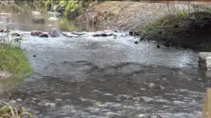 Luonto lähellä (S): 14.11.2016 08.56