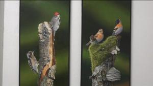 Luonto lähellä: Luonto lähellä 21.11.: 21.11.2016 08.35