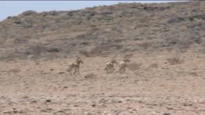 Luonto lähellä (S): 28.11.2016 08.24