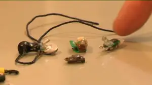 Luonto lähellä: valopaikannin ja lintujen muuttomatka (S): 05.12.2016 08.33