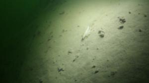 Itämeri pintaa syvemmältä: 26.07.2016 20.25