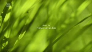 Ruohonjuuritasolla (S): 12.07.2016 18.52